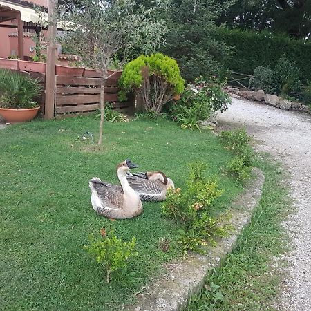 Bed and Breakfast Georgerock Grimaldi  Екстер'єр фото
